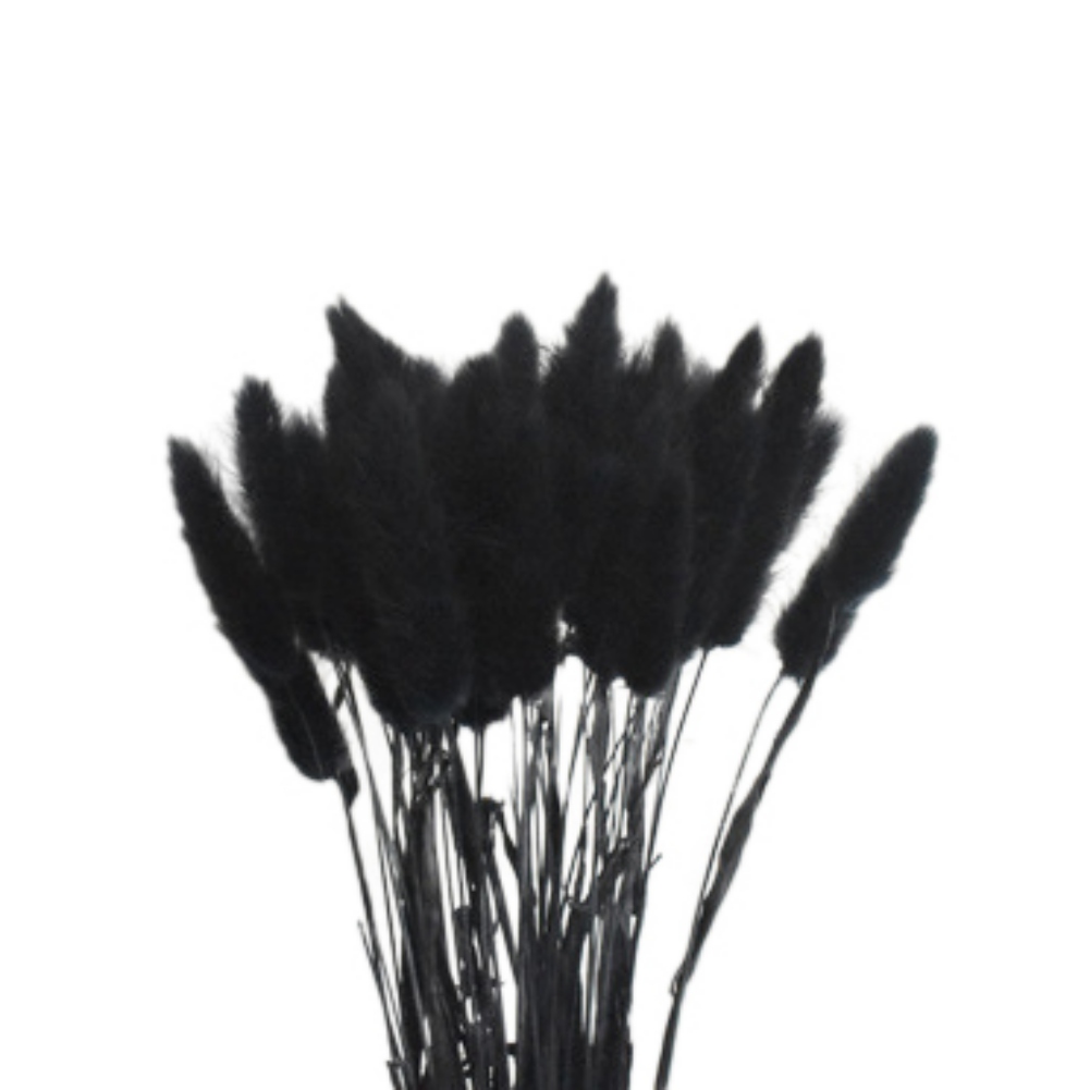 50PCS Dried Bunny Tail Grass, Dried Pampas Grass Natural Dried Lagurus ovatus for Boho Home Wedding Decor Dried Flowers Arrangements